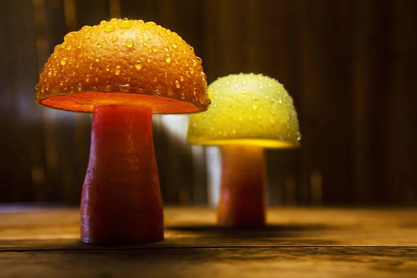 Lampe champignon : éclairez avec style et originalité